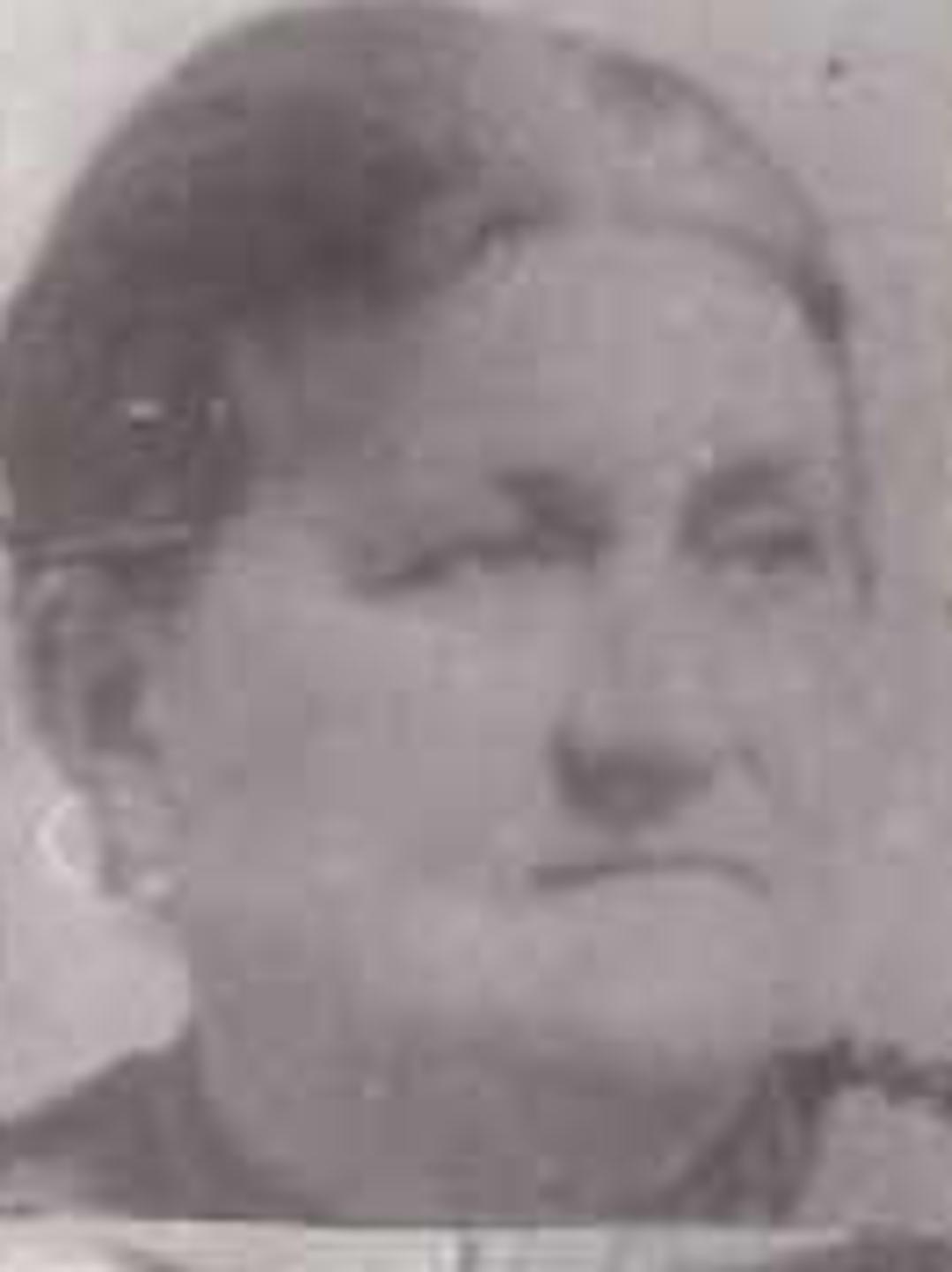 Thora Caroline Amalie Nielsen (1845 - 1910) Profile